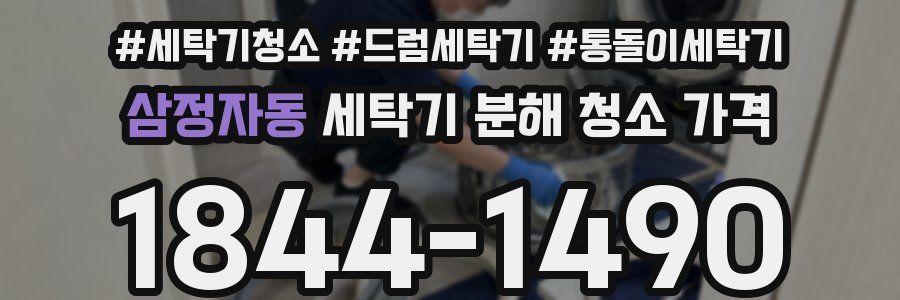 삼정자동 세탁기 분해 청소 가격