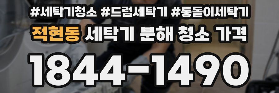 적현동 세탁기 분해 청소 가격