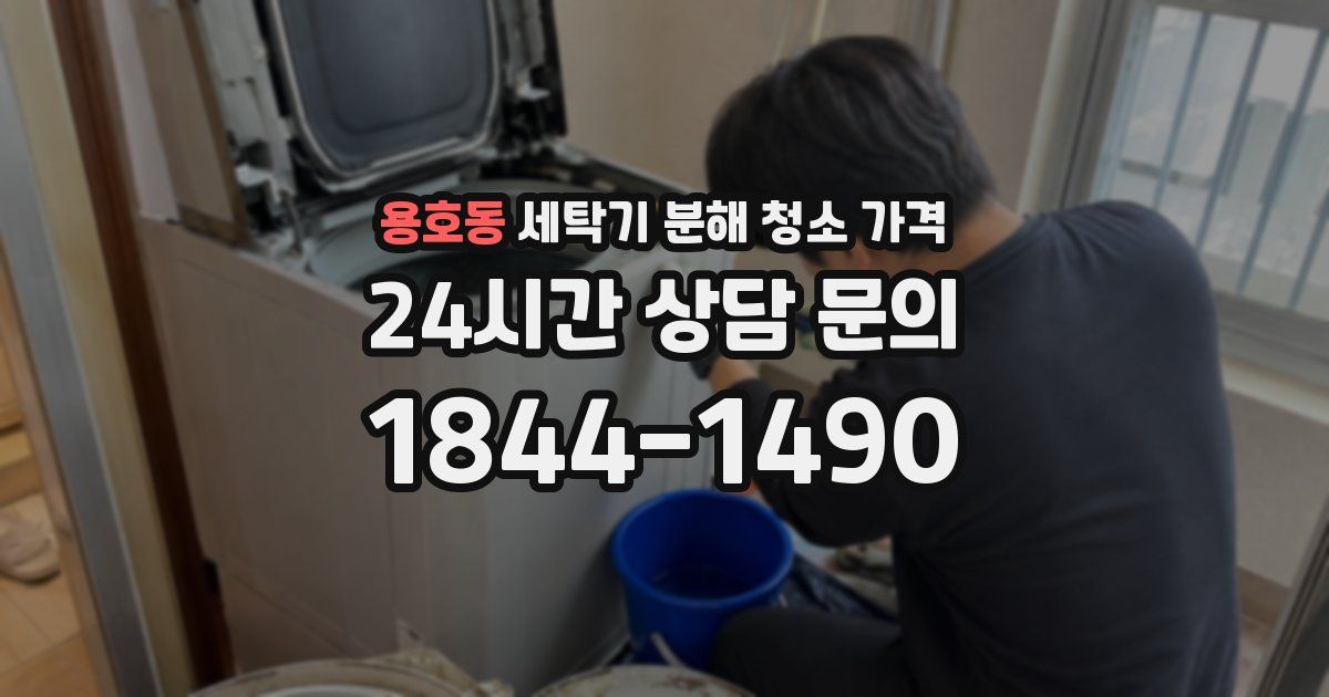 용호동 세탁기 분해 청소 가격