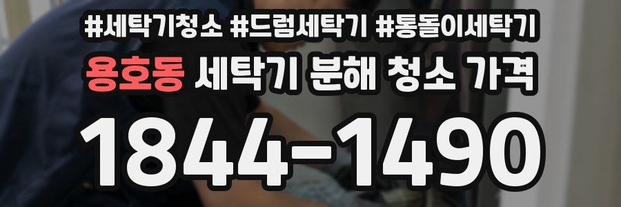 용호동 세탁기 분해 청소 가격