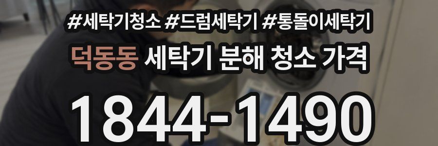 덕동동 세탁기 분해 청소 가격