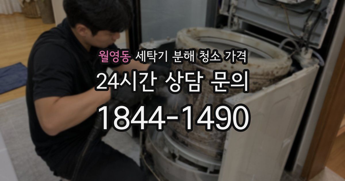 월영동 세탁기 분해 청소 가격