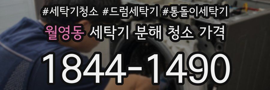 월영동 세탁기 분해 청소 가격