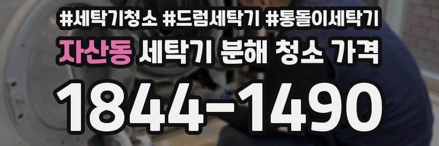 자산동 세탁기 분해 청소 가격