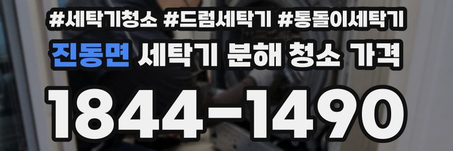 진동면 세탁기 분해 청소 가격