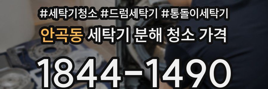안곡동 세탁기 분해 청소 가격