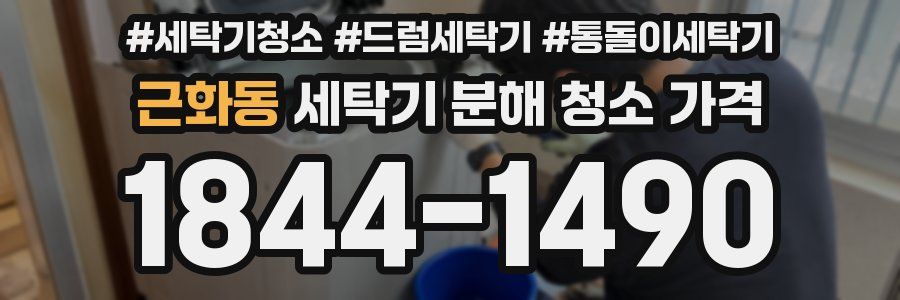 근화동 세탁기 분해 청소 가격