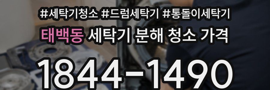 태백동 세탁기 분해 청소 가격