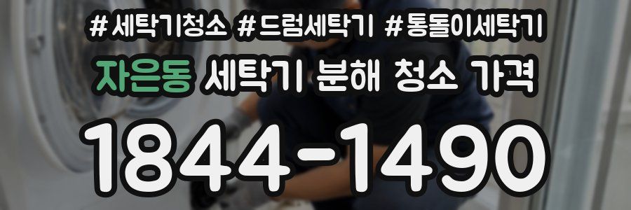 자은동 세탁기 분해 청소 가격