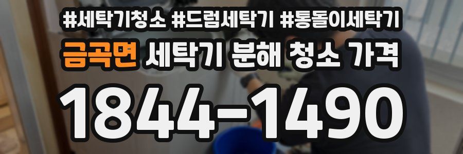 금곡면 세탁기 분해 청소 가격