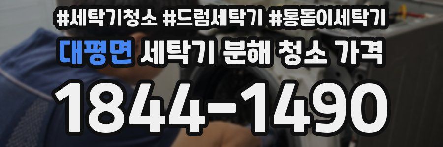 대평면 세탁기 분해 청소 가격