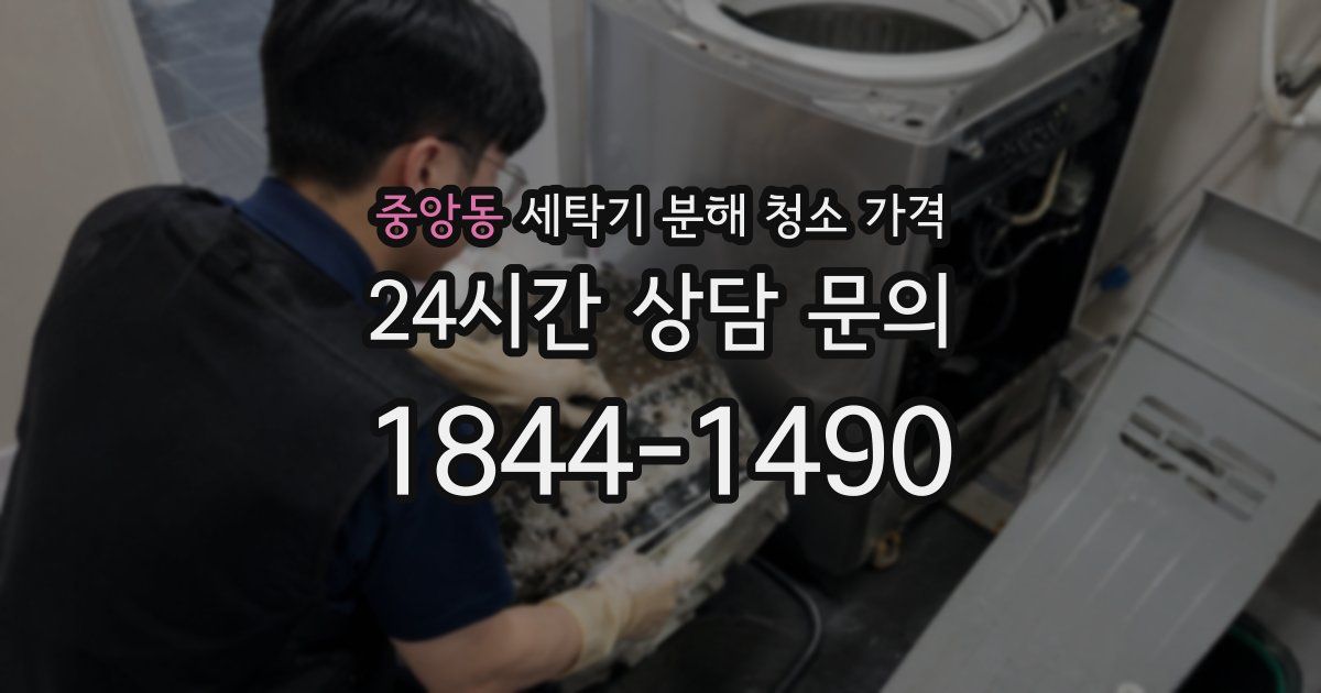 중앙동 세탁기 분해 청소 가격