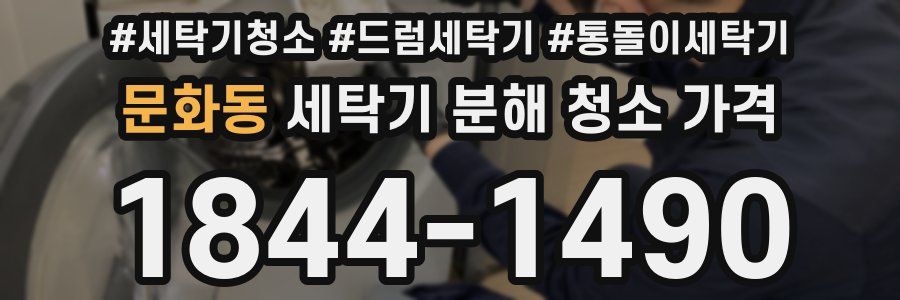 문화동 세탁기 분해 청소 가격