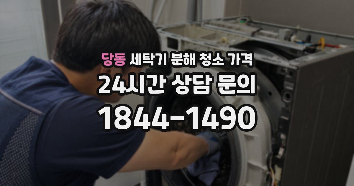 당동 세탁기 분해 청소 가격