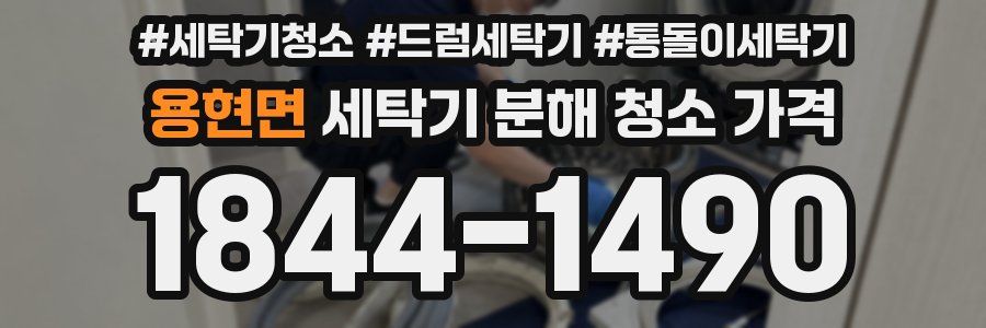 용현면 세탁기 분해 청소 가격