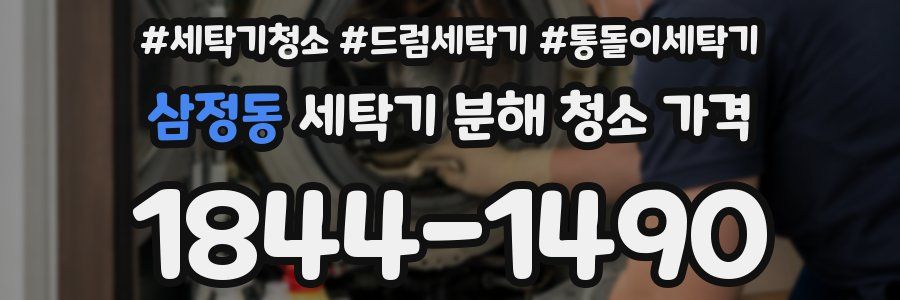 삼정동 세탁기 분해 청소 가격