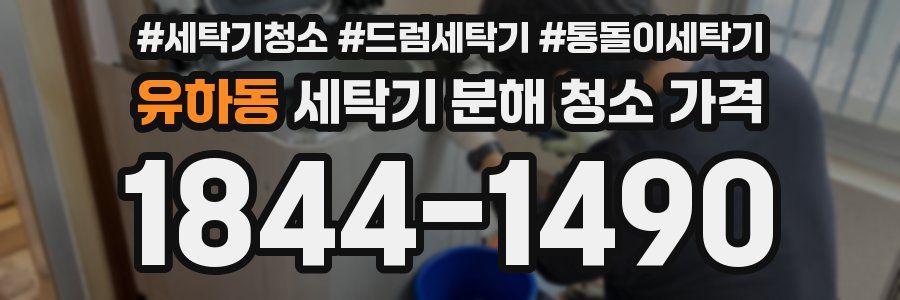 유하동 세탁기 분해 청소 가격