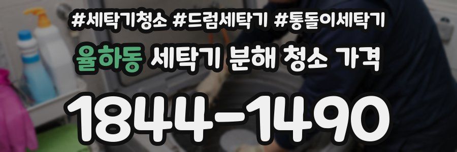 율하동 세탁기 분해 청소 가격