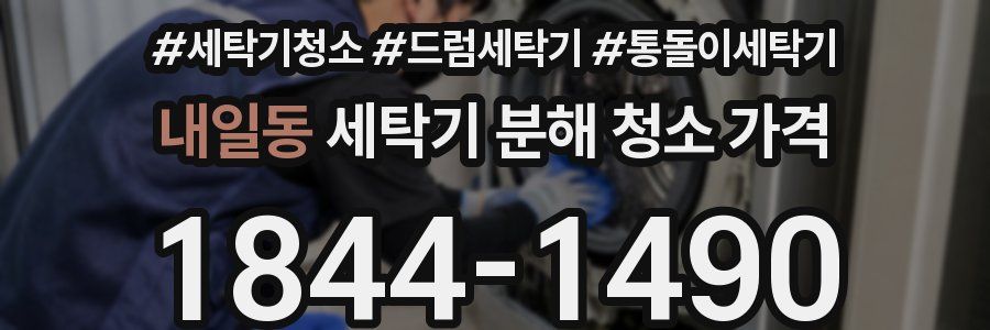 내일동 세탁기 분해 청소 가격