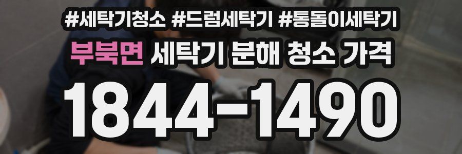 부북면 세탁기 분해 청소 가격