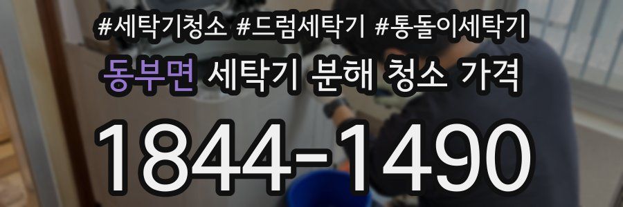 동부면 세탁기 분해 청소 가격