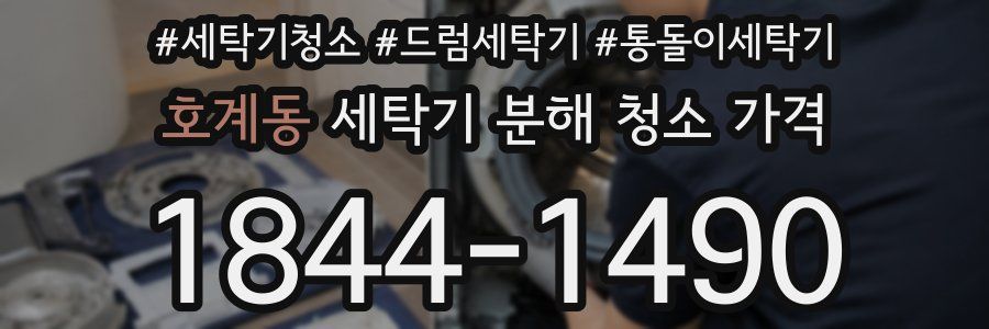 호계동 세탁기 분해 청소 가격