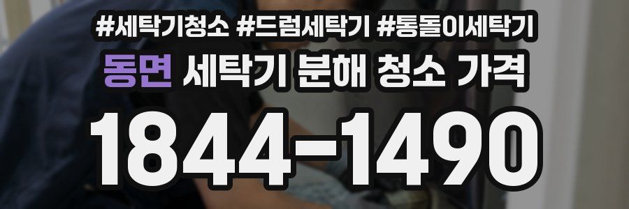 동면 세탁기 분해 청소 가격
