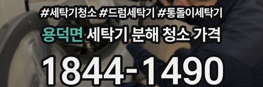 용덕면 세탁기 분해 청소 가격