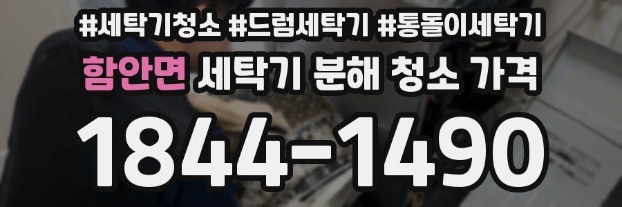 함안면 세탁기 분해 청소 가격