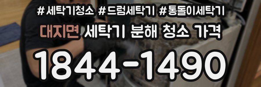대지면 세탁기 분해 청소 가격