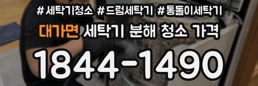 대가면 세탁기 분해 청소 가격