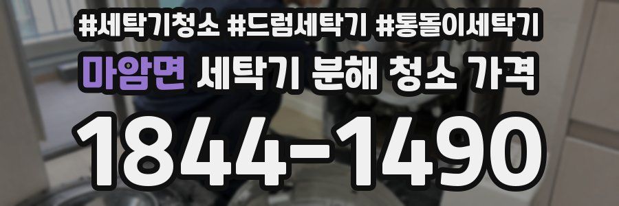 마암면 세탁기 분해 청소 가격