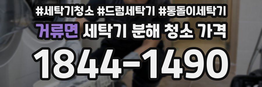 거류면 세탁기 분해 청소 가격