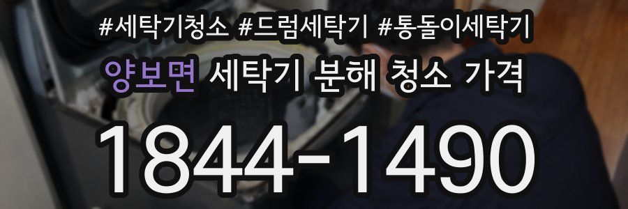 양보면 세탁기 분해 청소 가격