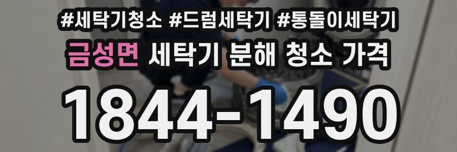 금성면 세탁기 분해 청소 가격
