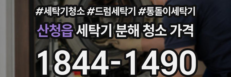 산청읍 세탁기 분해 청소 가격