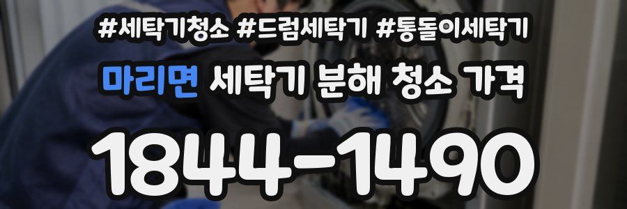 마리면 세탁기 분해 청소 가격