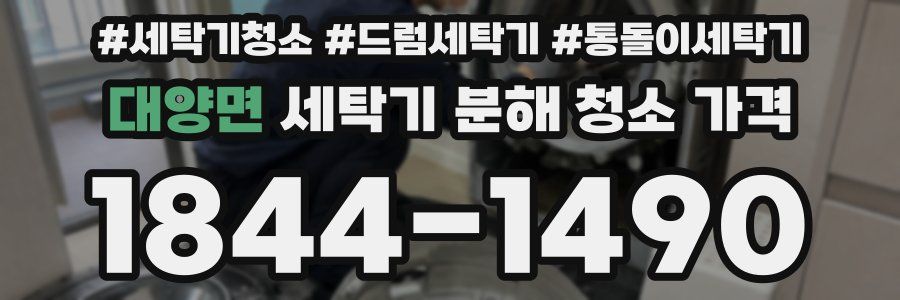 대양면 세탁기 분해 청소 가격