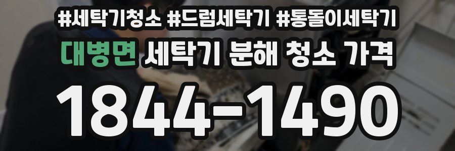 대병면 세탁기 분해 청소 가격