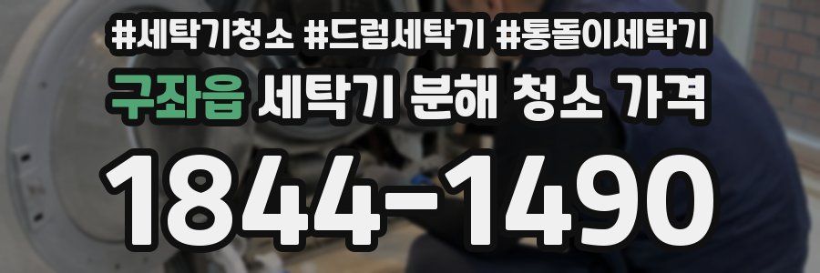 구좌읍 세탁기 분해 청소 가격