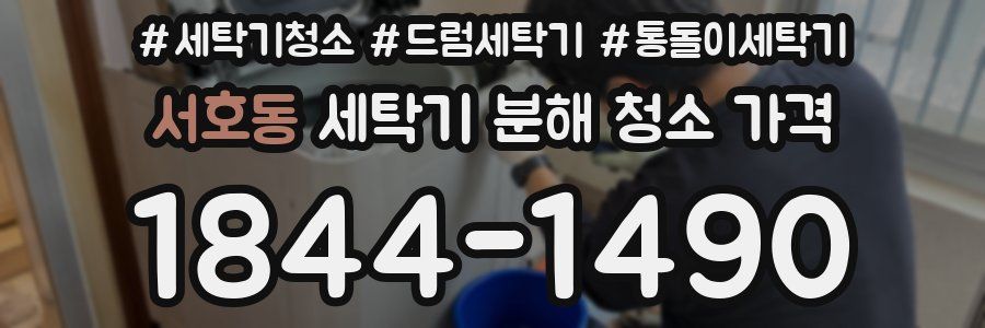 서호동 세탁기 분해 청소 가격