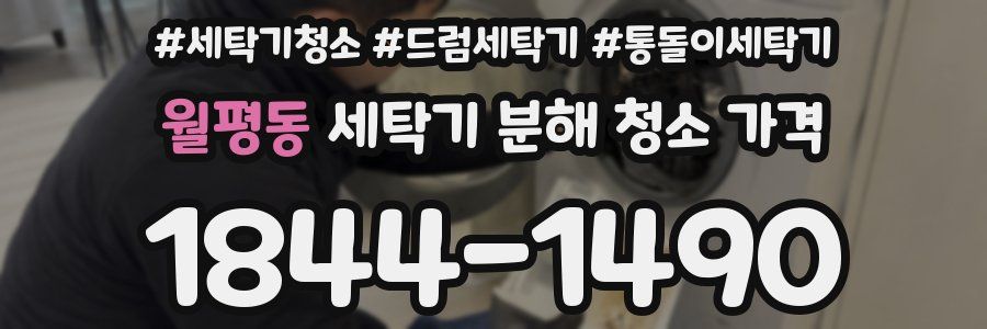 월평동 세탁기 분해 청소 가격