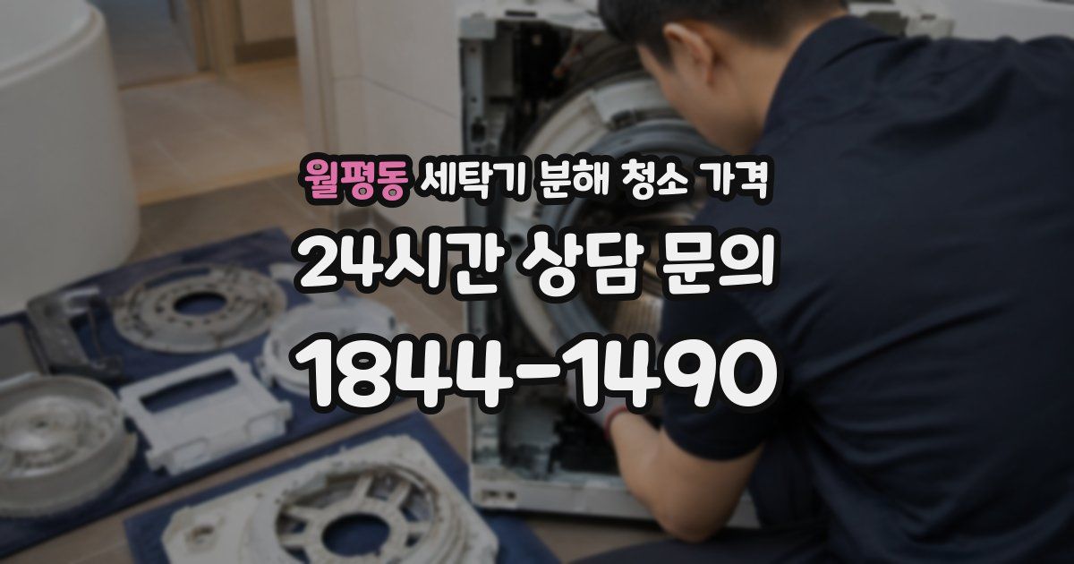 월평동 세탁기 분해 청소 가격