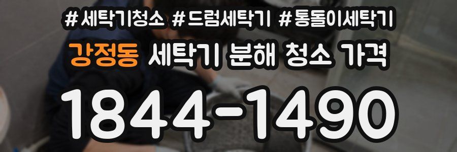 강정동 세탁기 분해 청소 가격