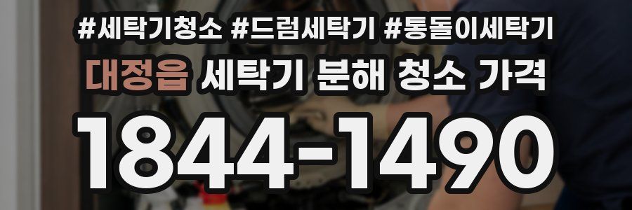 대정읍 세탁기 분해 청소 가격