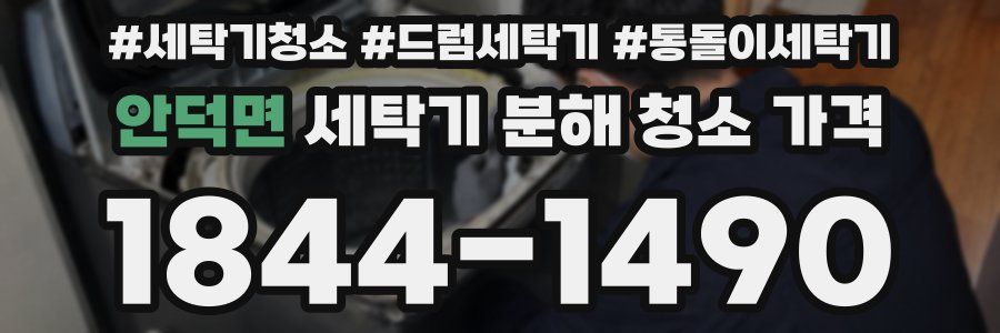 안덕면 세탁기 분해 청소 가격
