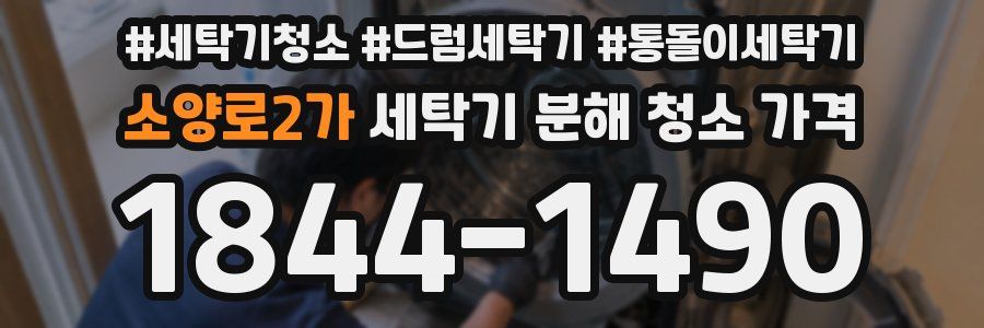 소양로2가 세탁기 분해 청소 가격