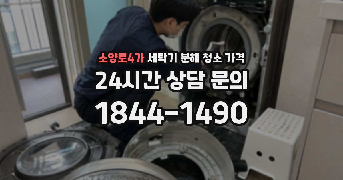 소양로4가 세탁기 분해 청소 가격