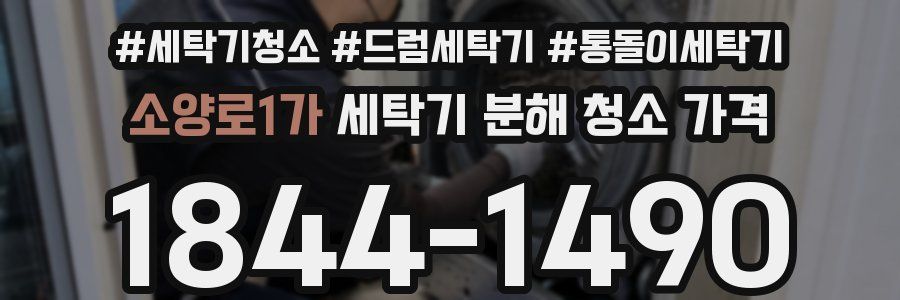 소양로1가 세탁기 분해 청소 가격