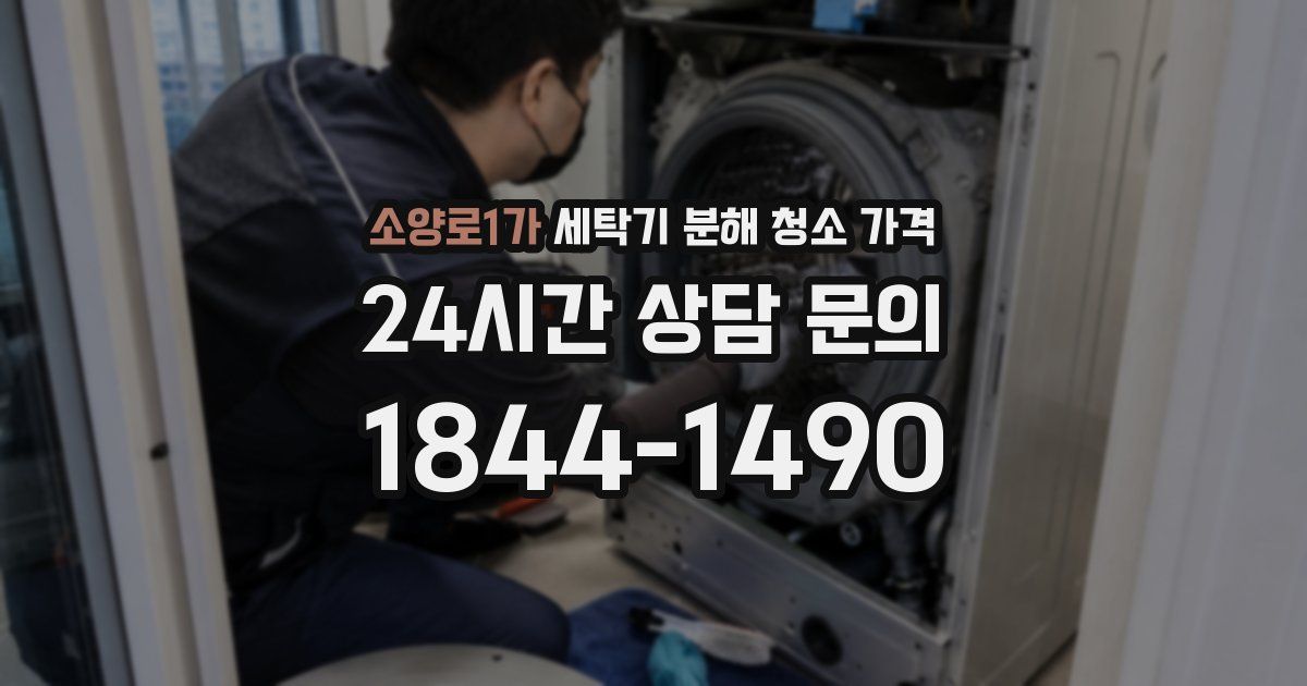 소양로1가 세탁기 분해 청소 가격